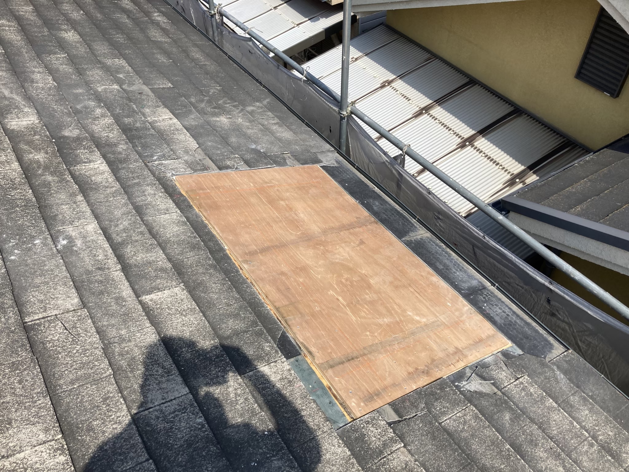 大屋根のトップライト